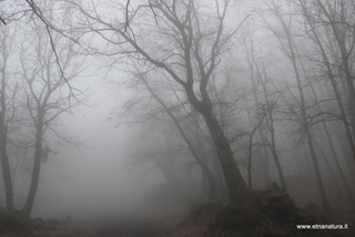 Serra Buffa Monte Crisimo